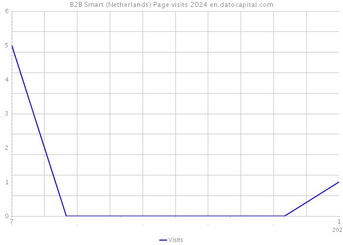 B2B Smart (Netherlands) Page visits 2024 