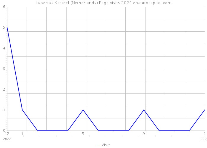 Lubertus Kasteel (Netherlands) Page visits 2024 