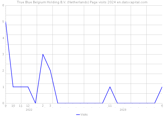 True Blue Belgium Holding B.V. (Netherlands) Page visits 2024 