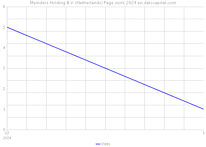 Meinders Holding B.V. (Netherlands) Page visits 2024 
