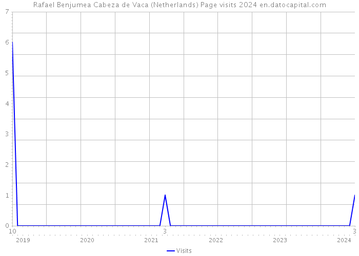Rafael Benjumea Cabeza de Vaca (Netherlands) Page visits 2024 