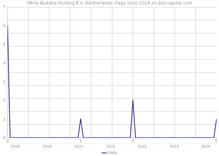 White Buddha Holding B.V. (Netherlands) Page visits 2024 