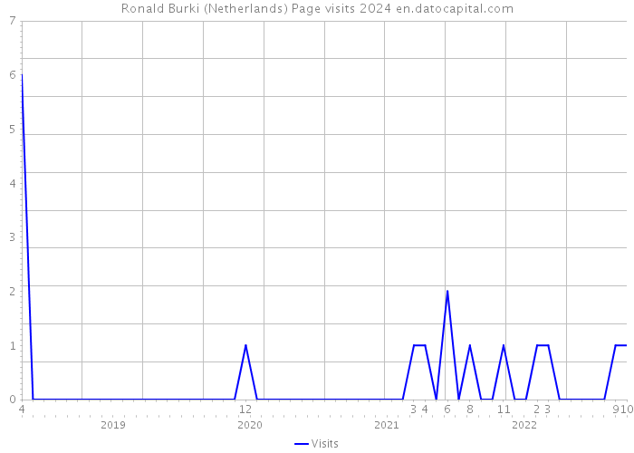Ronald Burki (Netherlands) Page visits 2024 