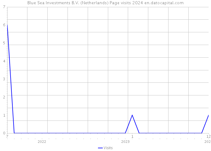 Blue Sea Investments B.V. (Netherlands) Page visits 2024 