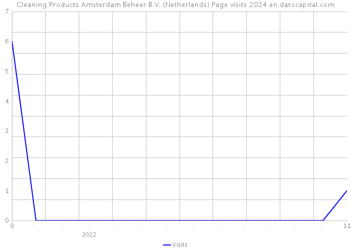 Cleaning Products Amsterdam Beheer B.V. (Netherlands) Page visits 2024 