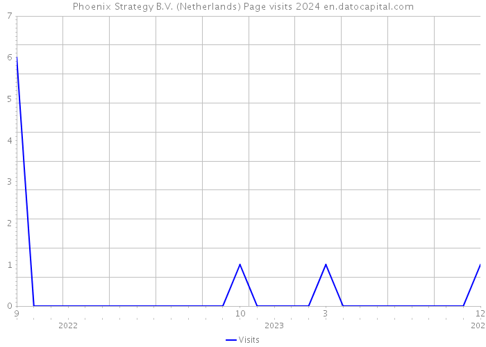 Phoenix Strategy B.V. (Netherlands) Page visits 2024 