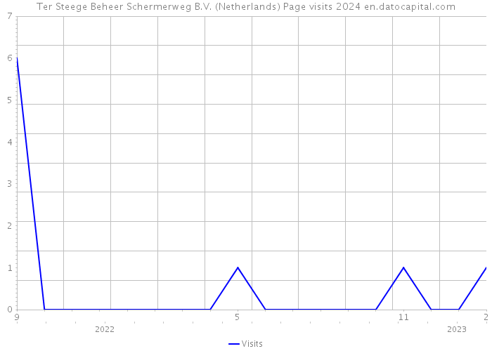 Ter Steege Beheer Schermerweg B.V. (Netherlands) Page visits 2024 