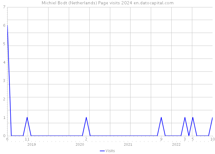 Michiel Bodt (Netherlands) Page visits 2024 