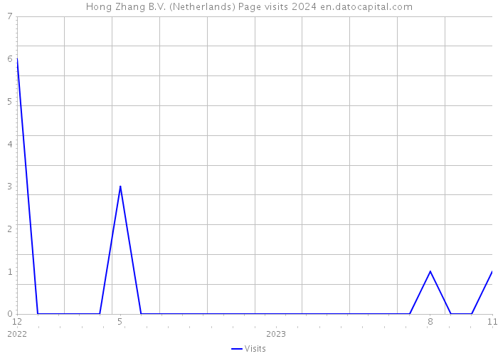 Hong Zhang B.V. (Netherlands) Page visits 2024 