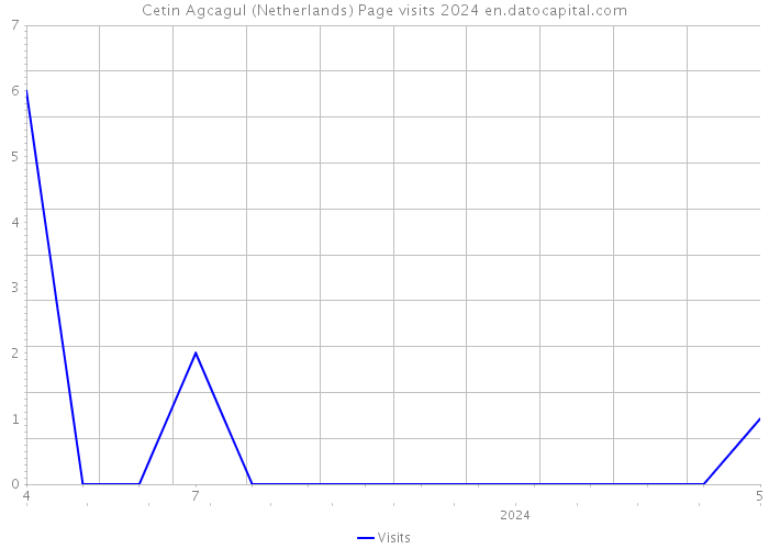 Cetin Agcagul (Netherlands) Page visits 2024 