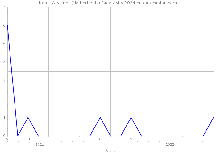 Kamil Arslaner (Netherlands) Page visits 2024 