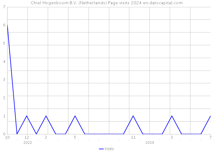 Chiel Hogenboom B.V. (Netherlands) Page visits 2024 