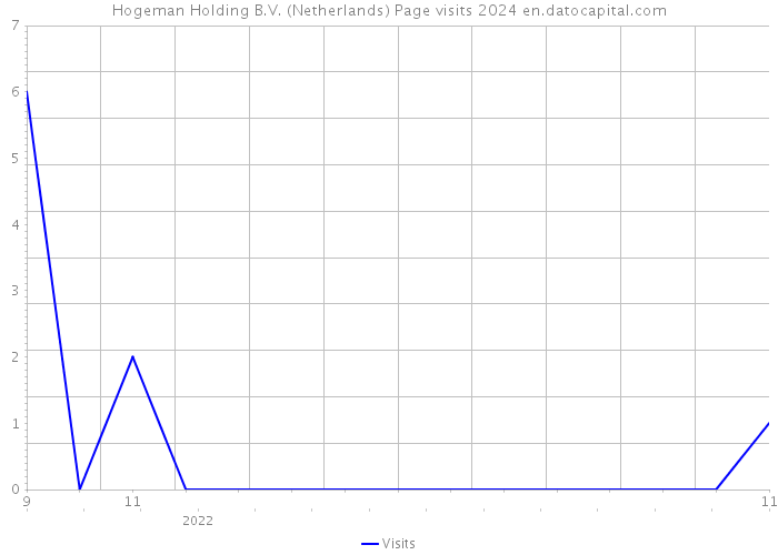 Hogeman Holding B.V. (Netherlands) Page visits 2024 