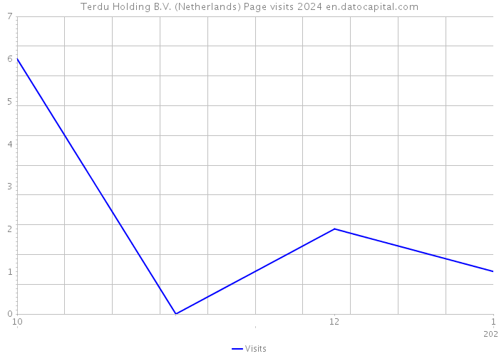 Terdu Holding B.V. (Netherlands) Page visits 2024 