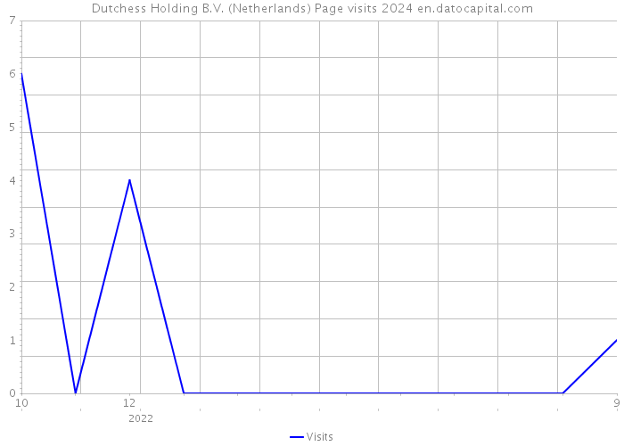 Dutchess Holding B.V. (Netherlands) Page visits 2024 