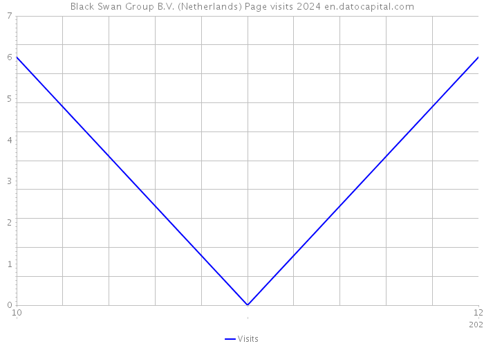 Black Swan Group B.V. (Netherlands) Page visits 2024 