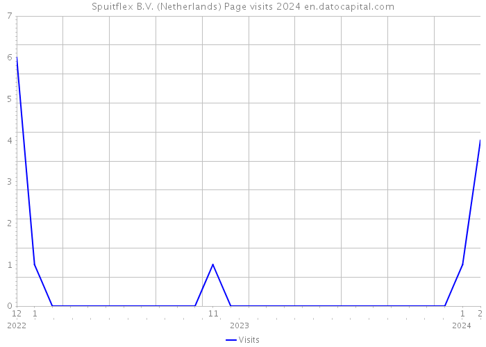 Spuitflex B.V. (Netherlands) Page visits 2024 