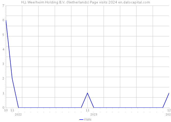 H.J. Weerheim Holding B.V. (Netherlands) Page visits 2024 