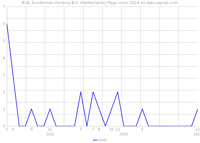 B.W. Zonderman Holding B.V. (Netherlands) Page visits 2024 