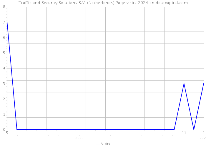 Traffic and Security Solutions B.V. (Netherlands) Page visits 2024 