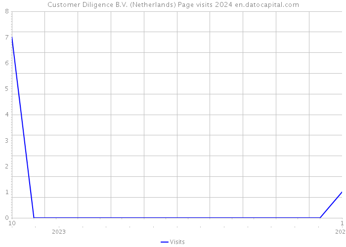 Customer Diligence B.V. (Netherlands) Page visits 2024 