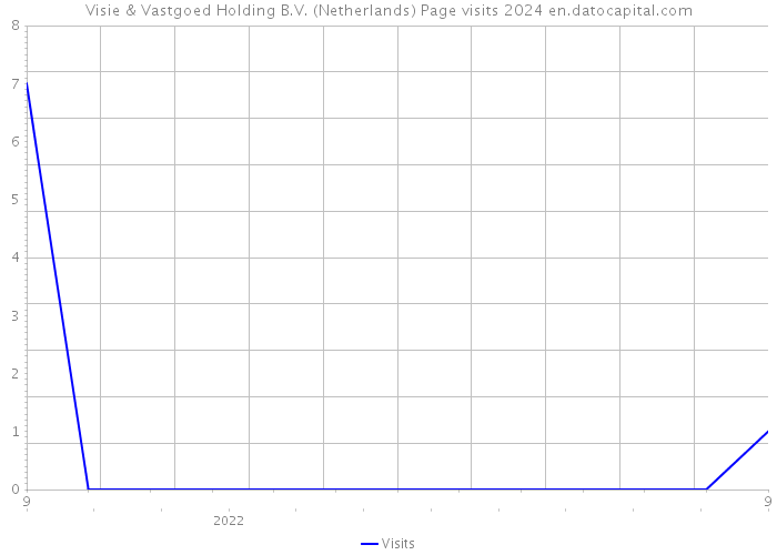 Visie & Vastgoed Holding B.V. (Netherlands) Page visits 2024 