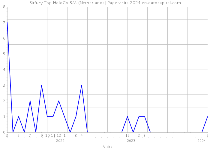 Bitfury Top HoldCo B.V. (Netherlands) Page visits 2024 