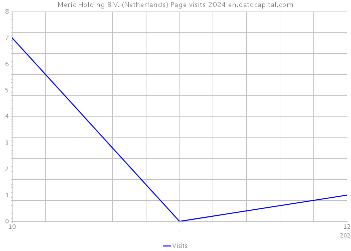 Meric Holding B.V. (Netherlands) Page visits 2024 