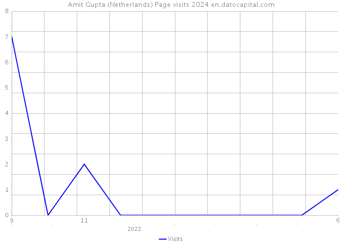 Amit Gupta (Netherlands) Page visits 2024 