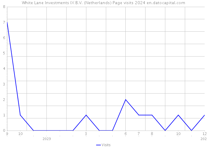 White Lane Investments IX B.V. (Netherlands) Page visits 2024 