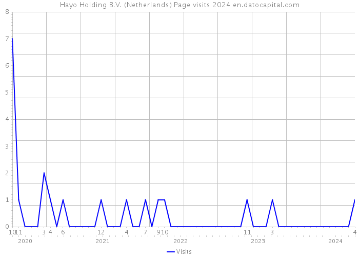 Hayo Holding B.V. (Netherlands) Page visits 2024 