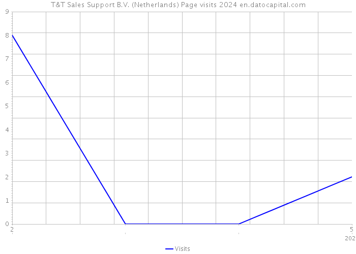 T&T Sales Support B.V. (Netherlands) Page visits 2024 