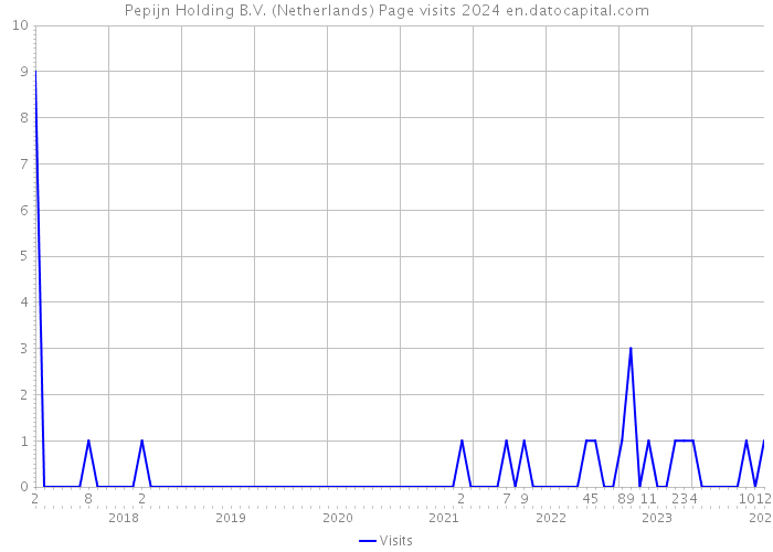 Pepijn Holding B.V. (Netherlands) Page visits 2024 