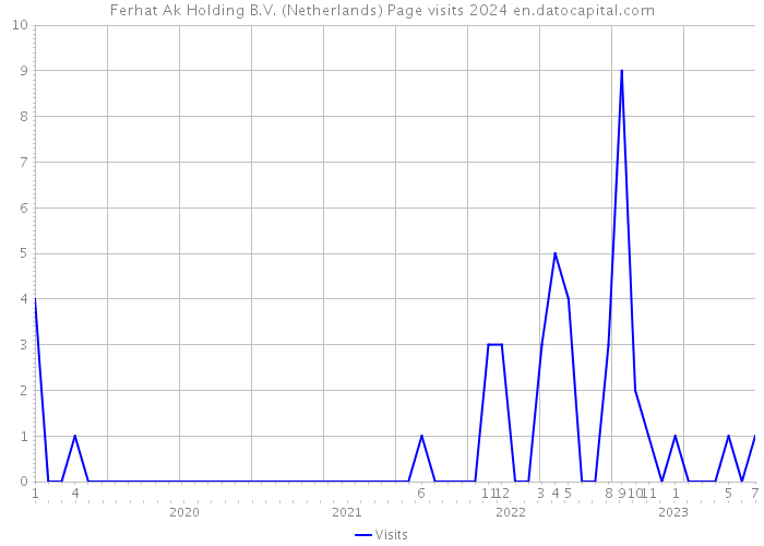 Ferhat Ak Holding B.V. (Netherlands) Page visits 2024 