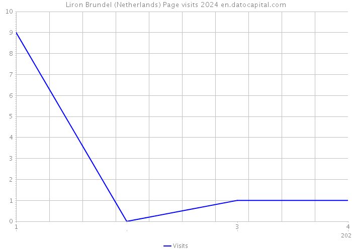Liron Brundel (Netherlands) Page visits 2024 