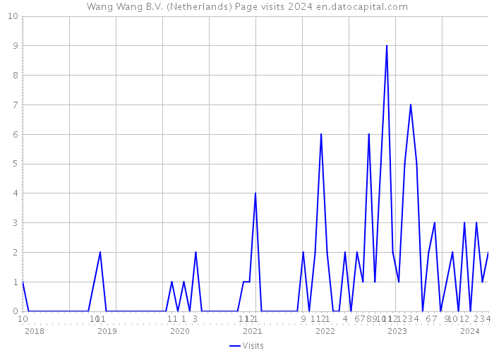 Wang Wang B.V. (Netherlands) Page visits 2024 