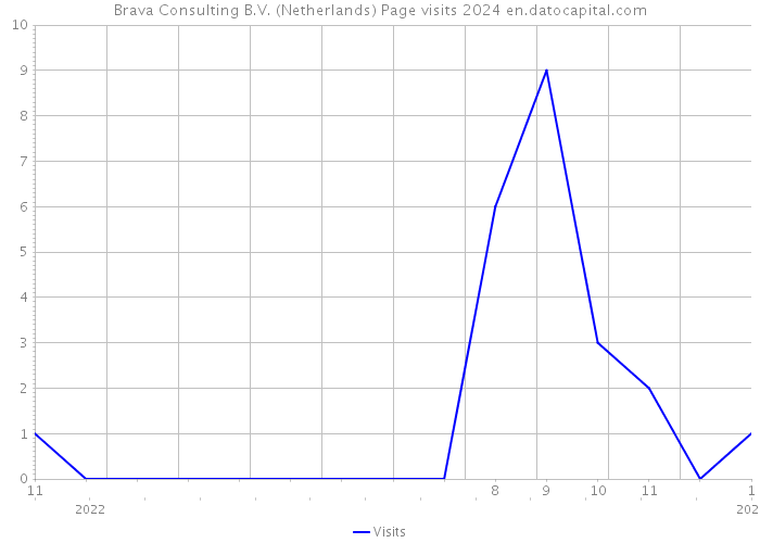 Brava Consulting B.V. (Netherlands) Page visits 2024 