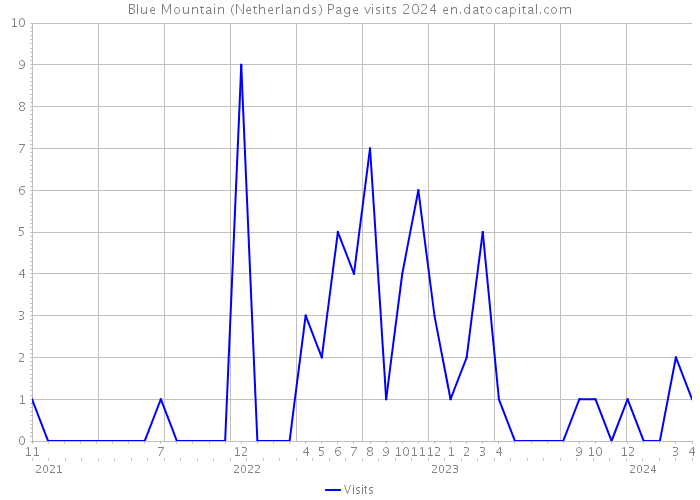 Blue Mountain (Netherlands) Page visits 2024 