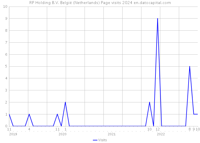 RP Holding B.V. België (Netherlands) Page visits 2024 
