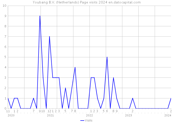 Youbang B.V. (Netherlands) Page visits 2024 
