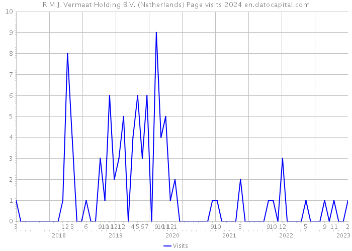 R.M.J. Vermaat Holding B.V. (Netherlands) Page visits 2024 