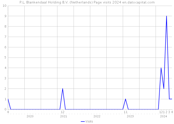 P.L. Blankendaal Holding B.V. (Netherlands) Page visits 2024 