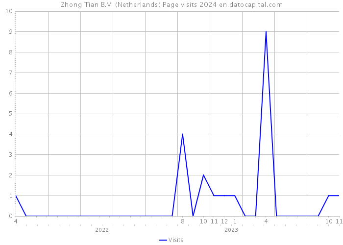 Zhong Tian B.V. (Netherlands) Page visits 2024 
