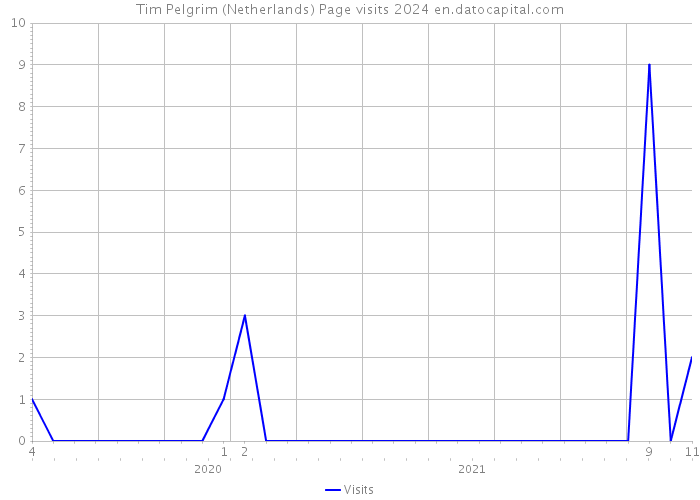 Tim Pelgrim (Netherlands) Page visits 2024 