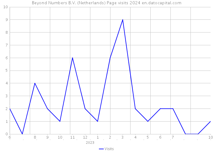 Beyond Numbers B.V. (Netherlands) Page visits 2024 