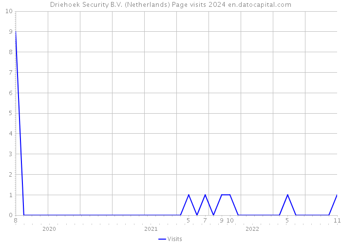 Driehoek Security B.V. (Netherlands) Page visits 2024 