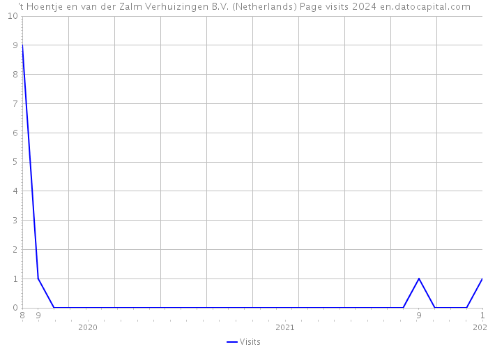 't Hoentje en van der Zalm Verhuizingen B.V. (Netherlands) Page visits 2024 