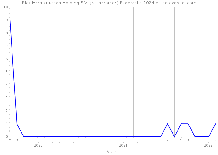 Rick Hermanussen Holding B.V. (Netherlands) Page visits 2024 