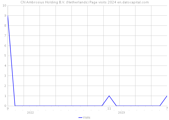 CN Ambrosius Holding B.V. (Netherlands) Page visits 2024 