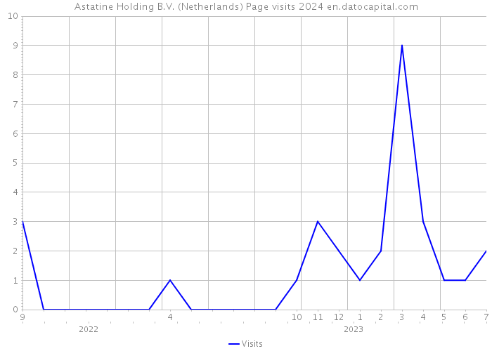 Astatine Holding B.V. (Netherlands) Page visits 2024 
